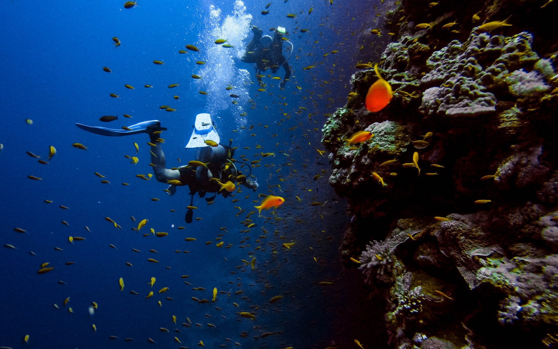 Explore the world’s best dive sites