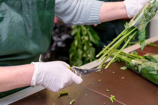 How Can Innovative Paddle Tines Transform Your Harvest Efficiency?