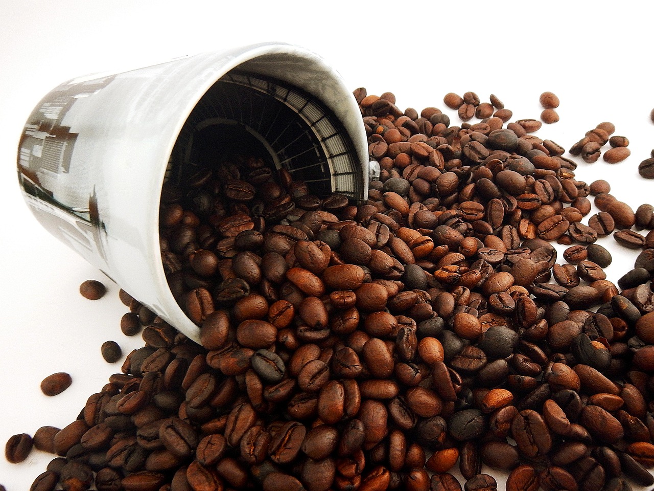 Comparison of Coffee Roasting Equipment Providers in Poland Based on Product Range, Technology, Customer Support, and Market Position